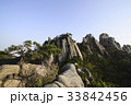 トィムバウィ ソウル 神仙台 33842456