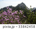 道峰山 ソウル 通常の 33842458