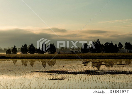 河北潟の朝景 33842977