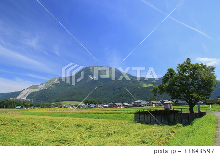 秋晴れの田園風景と樋ノ口地蔵尊と伊吹山です 秋晴れの田園風景と樋ノ口地蔵尊と伊吹山です 33843597