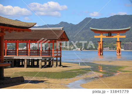 厳島神社・大鳥居 33845779