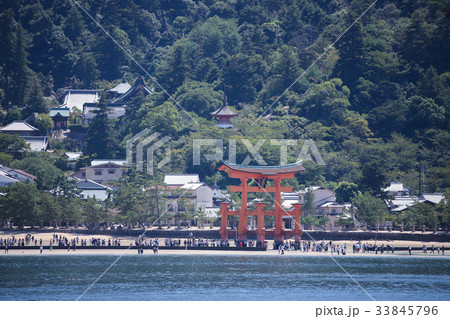 厳島神社・大鳥居 厳島神社・大鳥居 33845796