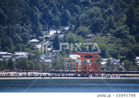 厳島神社・大鳥居 厳島神社・大鳥居 33845798