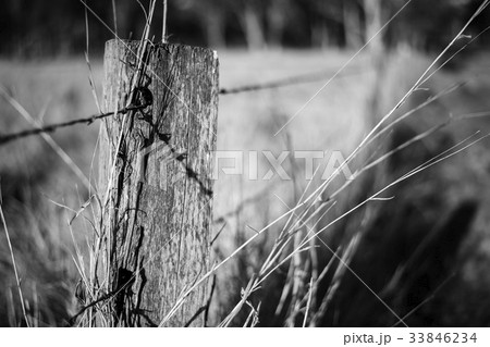 sharp wire fence