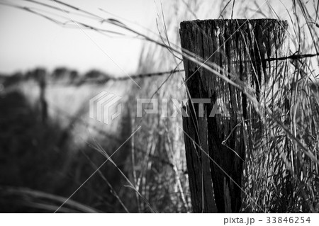 sharp wire fence