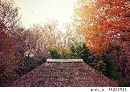 晩秋の古民家 晩秋の古民家 33846518