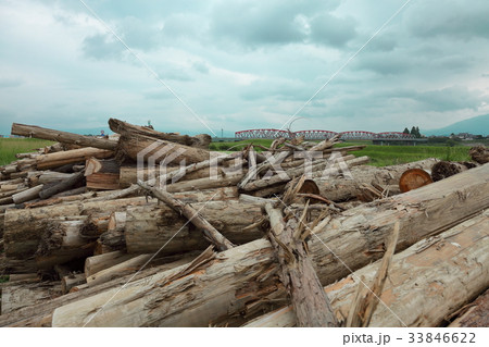 九州北部豪雨で発生した流木の集積地３ 33846622