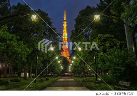 【東京夜景】東京タワー　芝公園4号地　 33846719