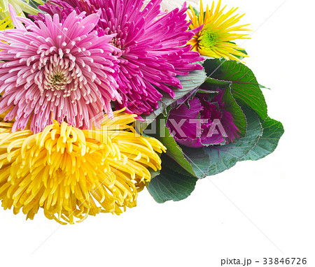 Chrisantemum flowers bouquet Chrisantemum flowers bouquet 33846726