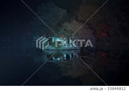 木 夜景 自然 33846812