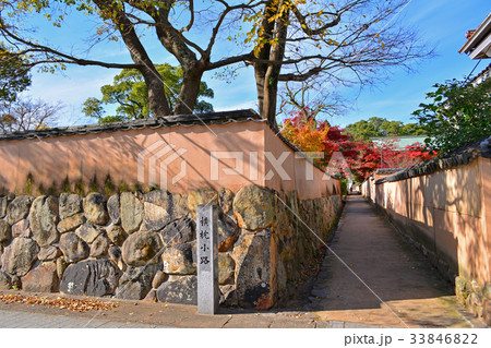 横枕小路 33846822