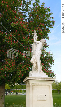Decoration of Tuileries garden in Paris Decoration of Tuileries garden in Paris 33847941