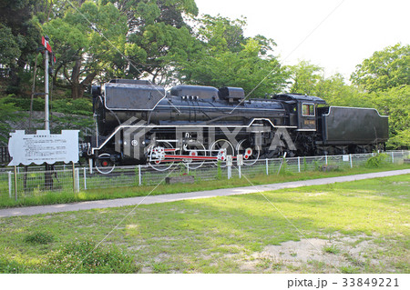 D51 449(津偕楽公園)/三重県津市 D51 449(津偕楽公園)/三重県津市 33849221