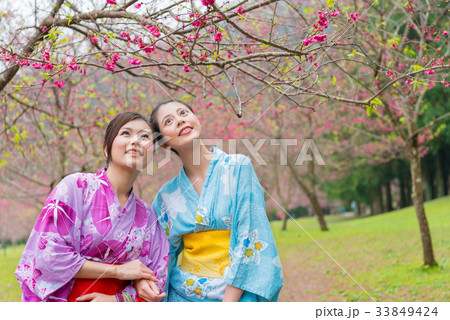 beauty elegant female travelers looking at sakura 33849424