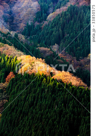 秋のナメゴ谷 33850575