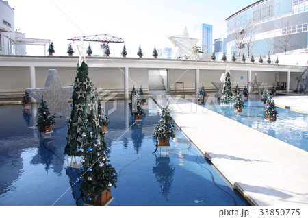 豊洲のクリスマスツリー 33850775