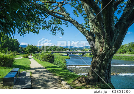 鴨川夏景色 鴨川夏景色 33851200