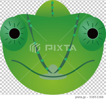 カメレオン 33851388