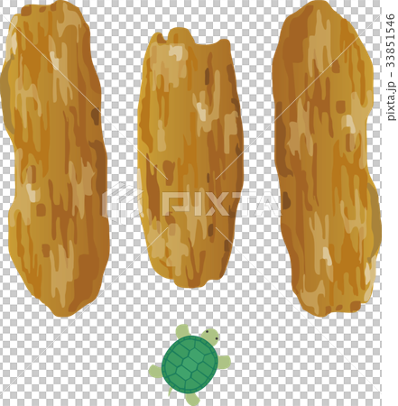 Dried salmon and turtle 33851546