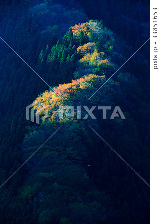 秋のナメゴ谷 秋のナメゴ谷 33851653