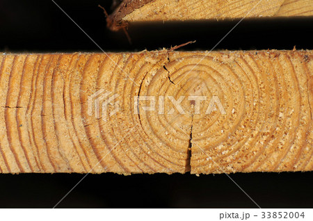 Macro texture wood 33852004