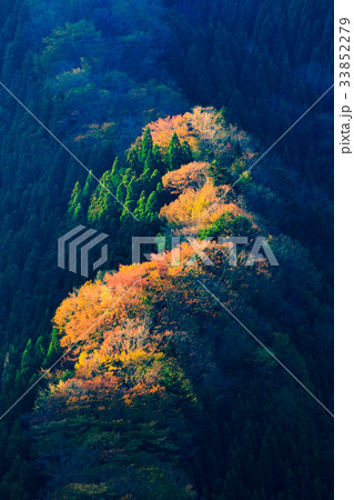 秋のナメゴ谷 秋のナメゴ谷 33852279