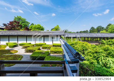 京都　東福寺本坊庭園　西庭 33852964