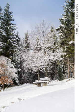 Winter landscape in Bavaria Winter landscape in Bavaria 33853095