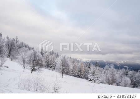 Winter landscape in Bavaria Winter landscape in Bavaria 33853127