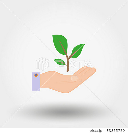 Green twig in a hand. Sign of environmental 33855720