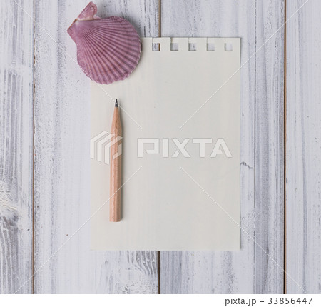 Flat lay design colorful scallop on vintage wood 33856447