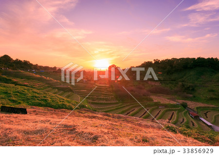 千早赤阪村棚田 夕景 千早赤阪村棚田 夕景 33856929
