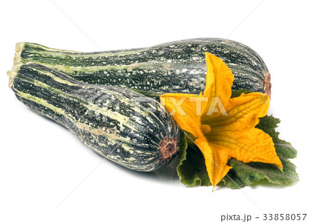 two zucchini with leaf and flower isolated on two zucchini with leaf and flower isolated on 33858057