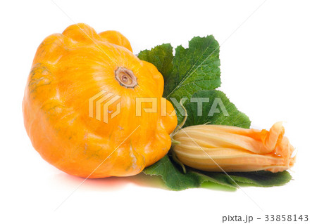 yellow pattypan squash with leaf and flower yellow pattypan squash with leaf and flower 33858143