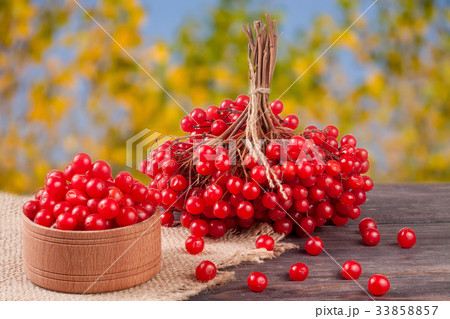 ripe red viburnum berries in a wooden bowl on ripe red viburnum berries in a wooden bowl on 33858857