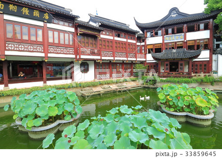豫園商城の池 33859645