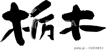 栃木（０７） 33859853