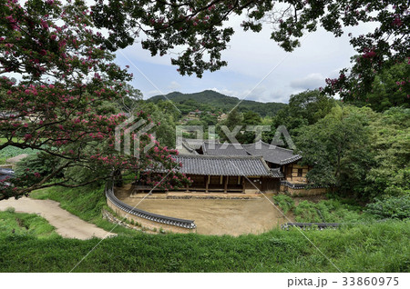 建築 自然 植物 33860975