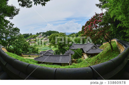 建築 自然 植物 33860978
