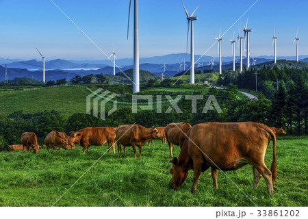 自然 タービン 風力発電所 33861202