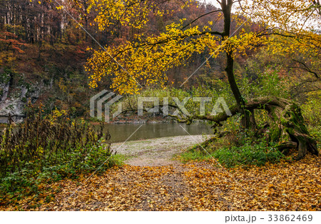 yellow trees on rocky shore of the river 33862469