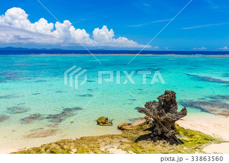 沖縄の海 33863560
