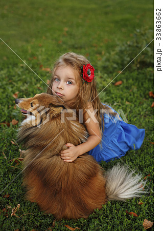 Little girl with a dog Sheltie 33863662