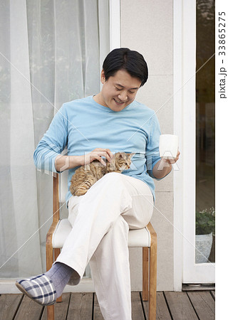 猫 男 男性 33865275