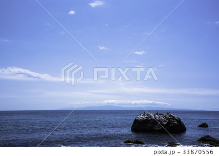 津軽海峡　ウミウ 33870556