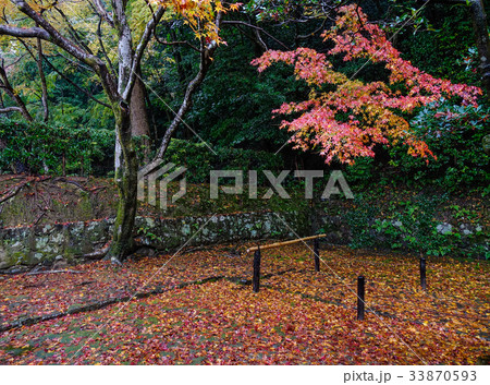 Autumn scenery in Kyoto, Japan Autumn scenery in Kyoto, Japan 33870593