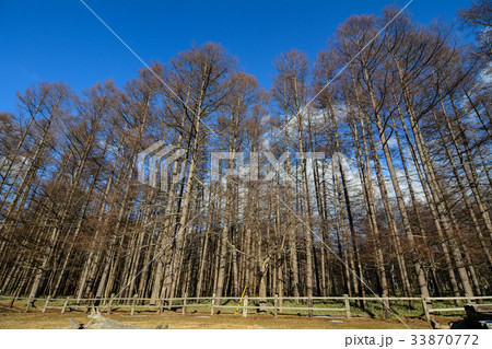 Mountain scenery in Nikko, Japan 33870772