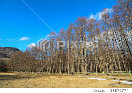 Mountain scenery in Nikko, Japan Mountain scenery in Nikko, Japan 33870774