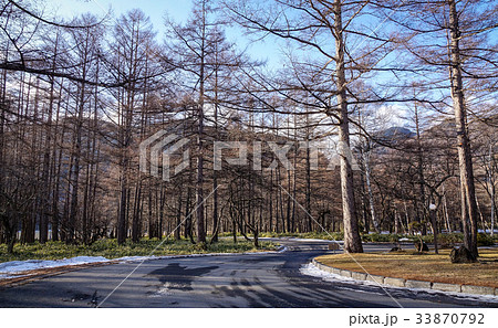 Mountain road in Nikko, Japan 33870792