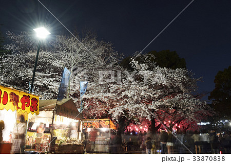桜まつり　花見　夜桜　出店　露天　テキヤ　ソメイヨシノ　春　さくら　桜　サクラ　店　 33870838